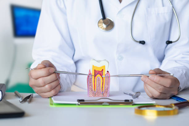Best Emergency Broken Tooth Repair in Bay City, MI